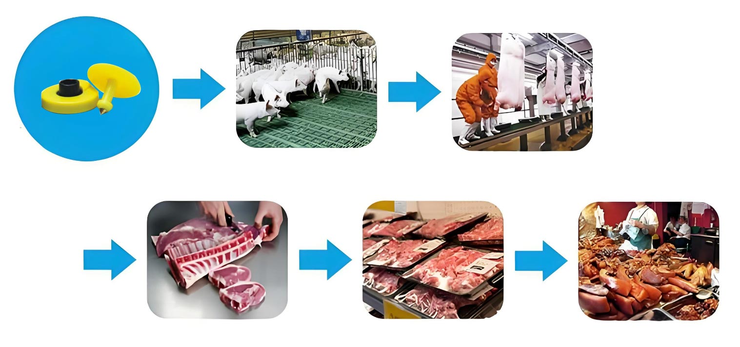 Animal Food Traceability